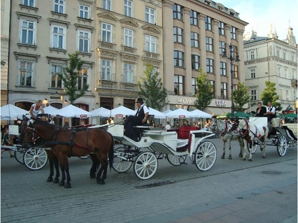 Slika59 Trk na trg: Rynek Główny, Krakov