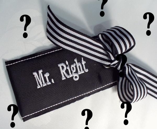 Mr Right4 Gospodin Pravi: Još malo pa hejterska verzija