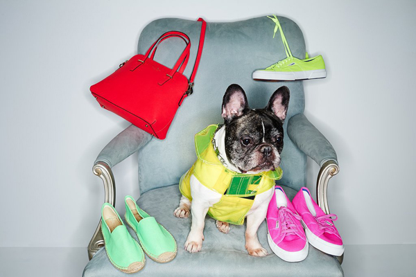 Shopbop Spring 2014 Accessories Edit I psi vole modu