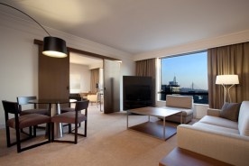 Executive suite-living room