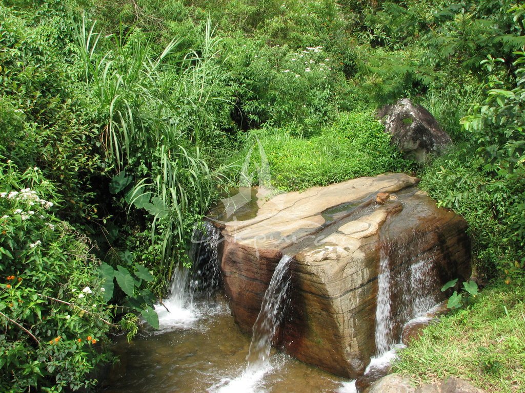 waterfalls sri lanka 1032 Šri Lanka