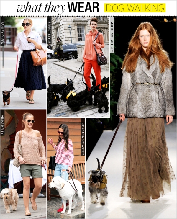 WTW dogwalking Moda Holivuda: Trend izveštaj