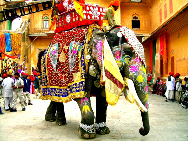 Decorated Indian elephant Simboli šarene Indije