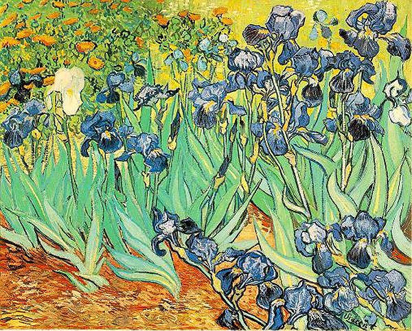 Slika10 Irises by Vincent Van Gogh 53900000 Top 10 najskupljih slika svih vremena: II deo 