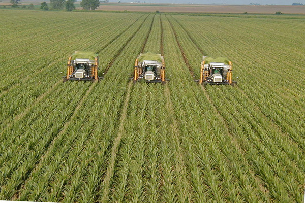250 U zemlji Amiša i kukuruznih polja 