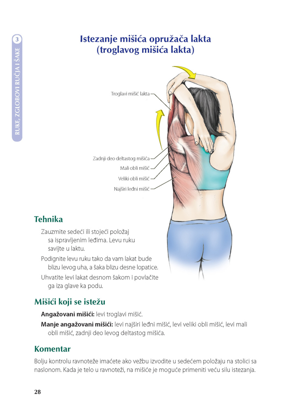 anatomija istezanja pdf