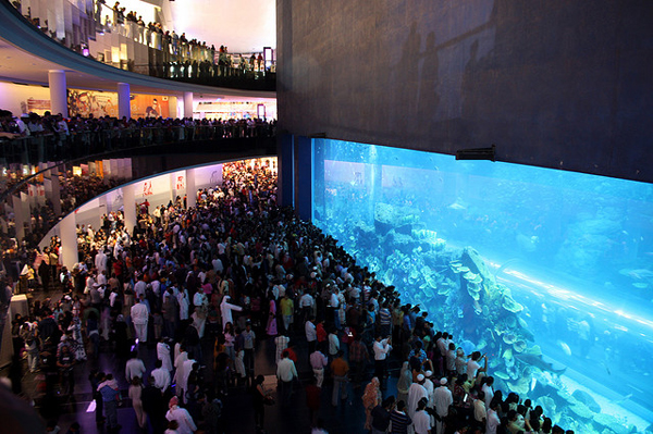 Slika 811 Top 10 najvećih akvarijuma na svetu