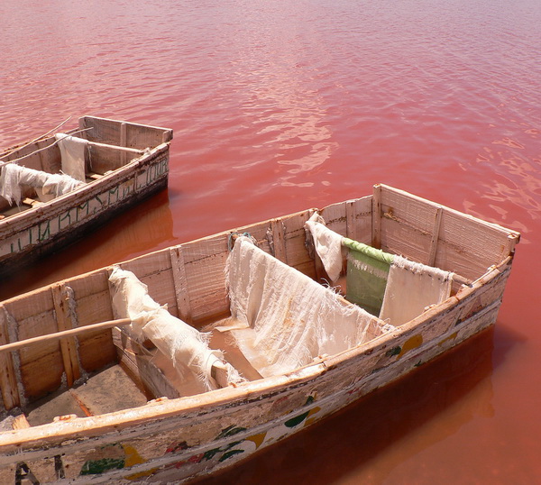 slika 217 Jezero Retba: Prirodno blago Senegala 