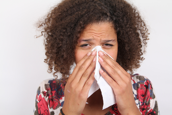alergija21 Živi zdravo: Alergije će nam doći glave 