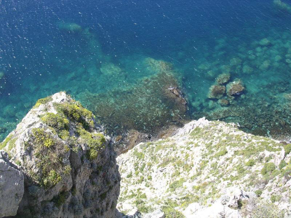 Jadransko more A gde na godišnji odmor? 