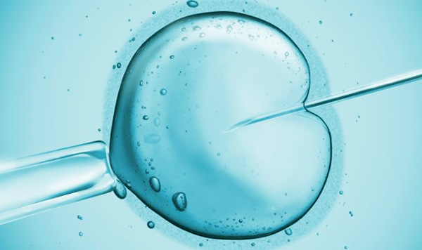 bioblogija oplodnja Bio(b)logija: Bebe iz epruvete