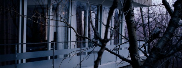 Zlokobna tisina u trnovitom drvecu Naslednik Tarkovskog: Andrej Zvjagincev 