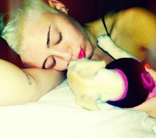 Miley Cyrus Krznene zvezde Instagrama: Ljubimci poznatih 