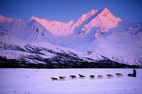 Psi vuku saonice Deset najuzbudljivijih zimskih destinacija
