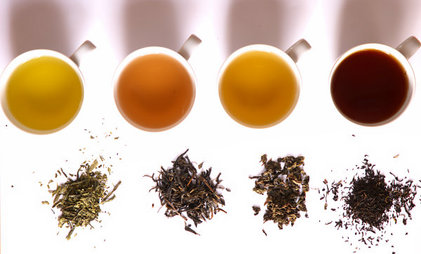 Tea in different grade of fermentation Naučite da uživate u čaju
