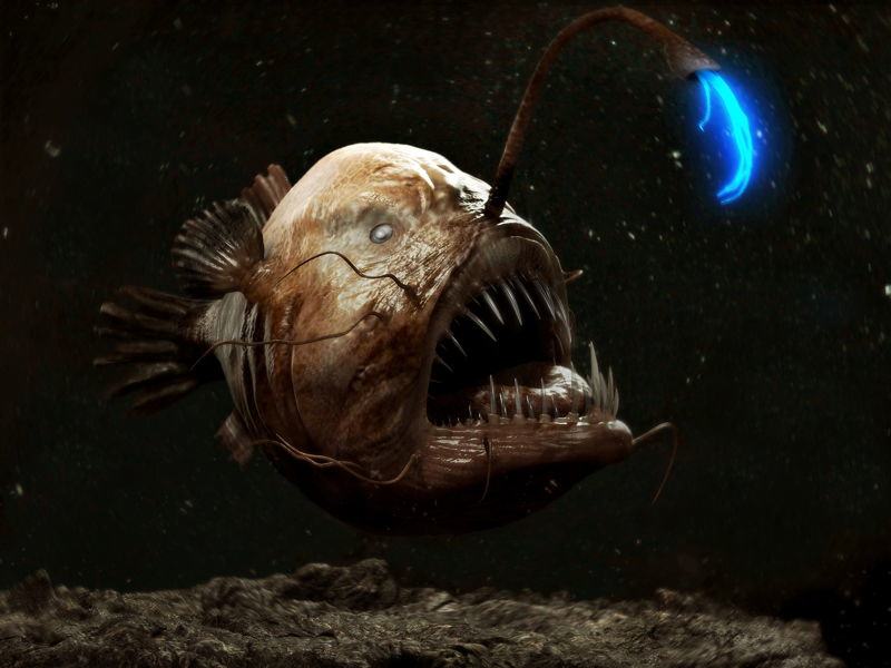 ocean creatures angler fish bright Razmisli pre nego što zaplivaš: Najbizarnija morska stvorenja