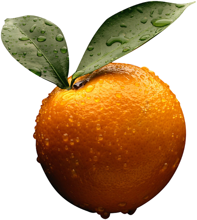 narandza1 Narandža: Eliksir zdravlja