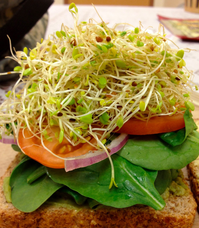 sendvic sa povrcem Kako da se zdravo i jeftino hranite na poslu 