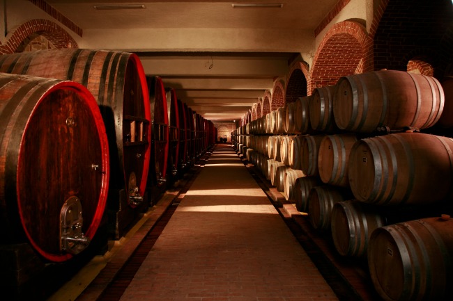Vinarija Tikves podrum 1 Tikveš vino: Svetske nagrade za vrhunski kvalitet