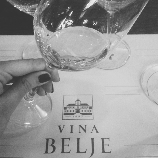 belje vina hrvatska vinarija vinograd 21 Instagram izveštaj: Vina Belje 