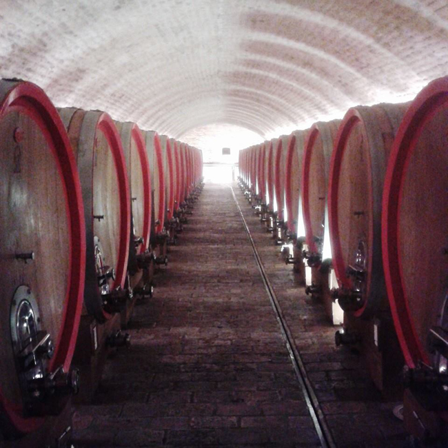 belje vina hrvatska vinarija vinograd 3 Instagram izveštaj: Vina Belje 