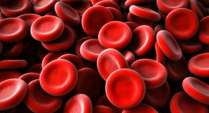 sastav krvi Kako krvna grupa određuje tvoju ličnost
