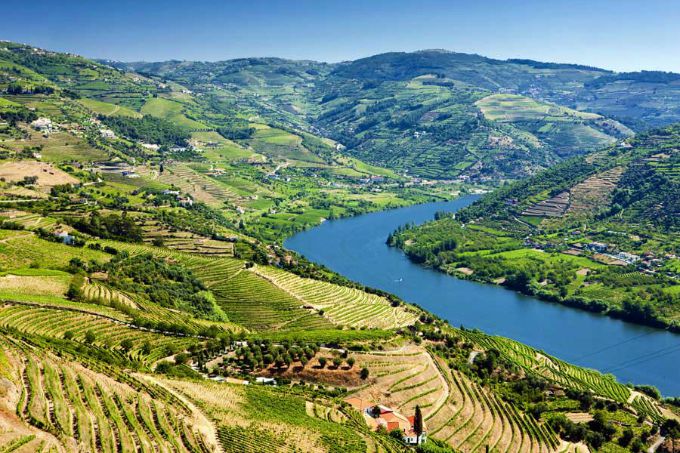 portugal olympic travel 1 Strast je glavni sastojak portugalskog vina