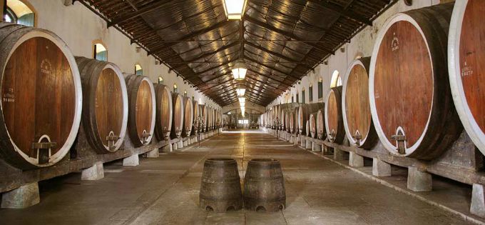 portugal olympic travel 2 Strast je glavni sastojak portugalskog vina