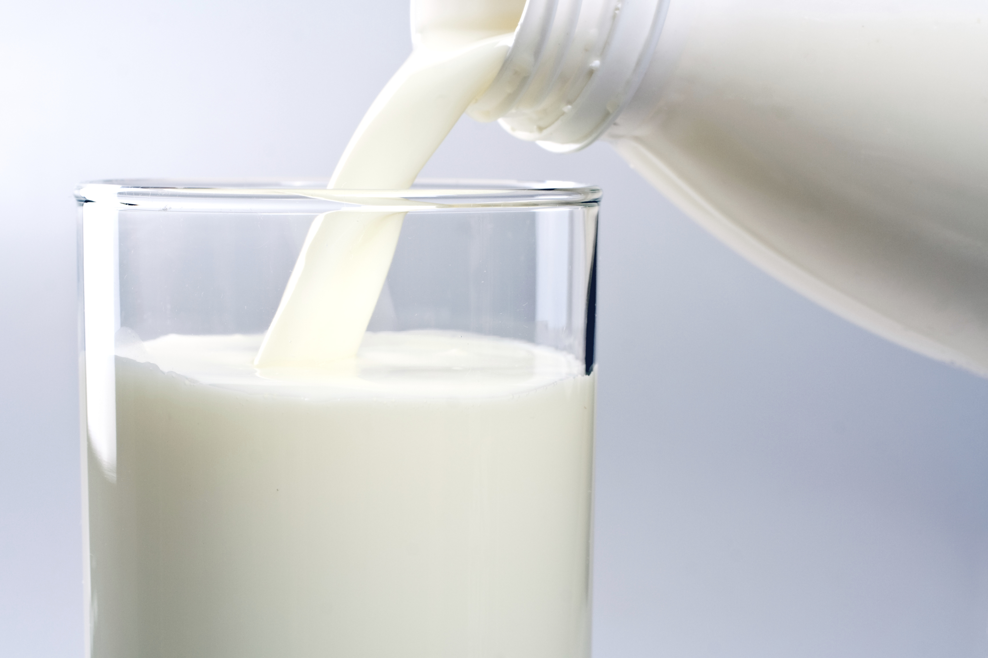 glass of milk Čaša zdravlja za sve uzraste