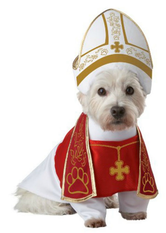 papa kostim za psa Interesantni kostimi za psa za Noć veštica