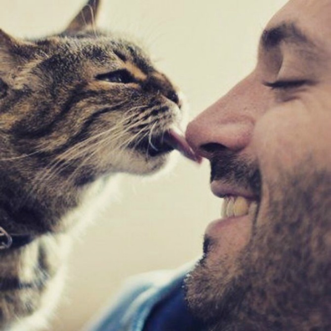 Instagram Zgodni frajeri i preslatki mačići 5 Instagram: Zgodni frajeri i preslatki mačići