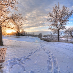 winter snow dawn footprints bench 101431 300x300 Kviz: Koji model farmerki treba da NOSIŠ ovog proleća?