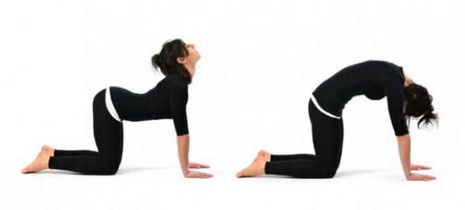 joga 7 Jednostavne joga vežbe koje MORAŠ probati