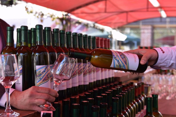 Mlado vino početak degustacije a Sedmi Festival mladog vina Tikveš vinarije u sunčanim Kavadarcima