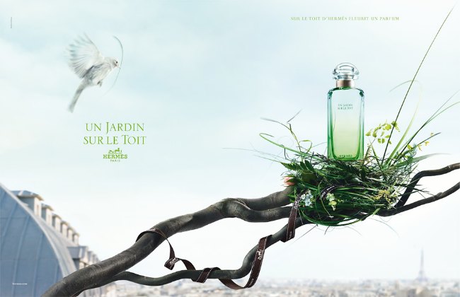 zelena Kada boje mirišu: Tajna veza između parfema i boja