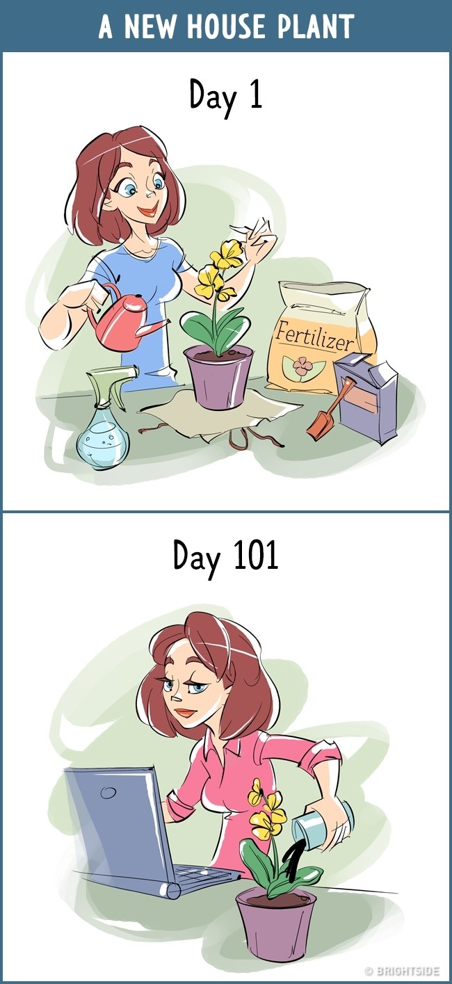 ilustracije 9 1 Kako se naši doživljaji stvari menjaju kroz sto dana (KOMIČNE ILUSTRACIJE)