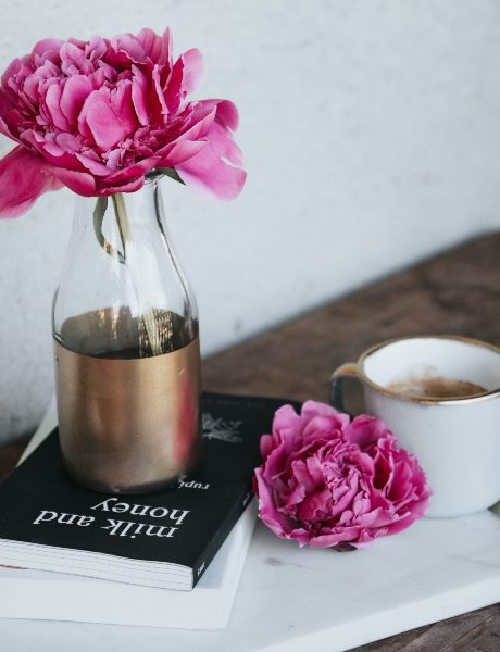 Klimakterični dnevnik: Letim