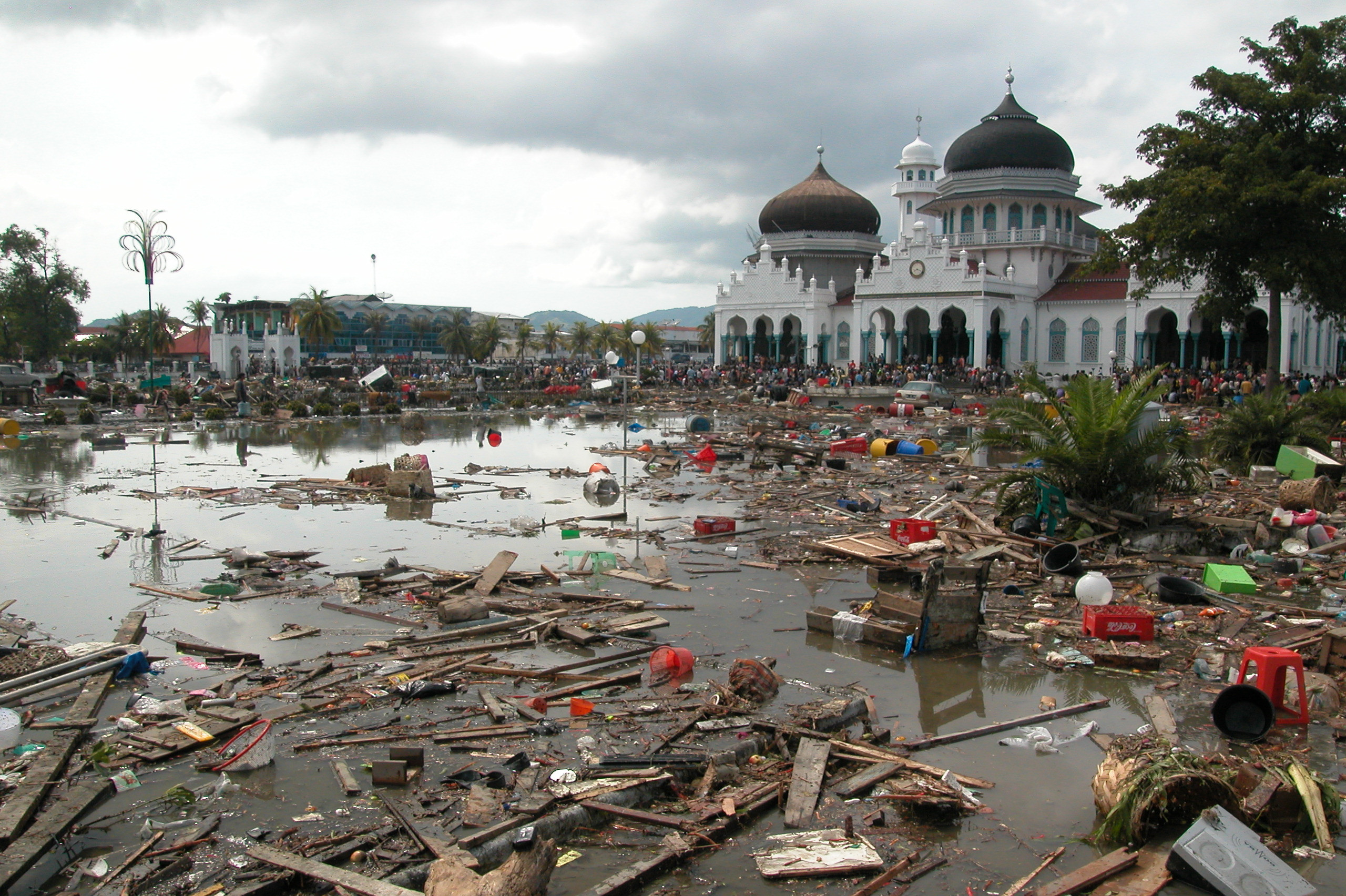 101 TheWave Tsunami RaceAgainstTime 04 Cunami: Trka protiv vremena: Dokumentarni serijal o katastrofi koja je odnela 250.000 života na kanalu National Geographic