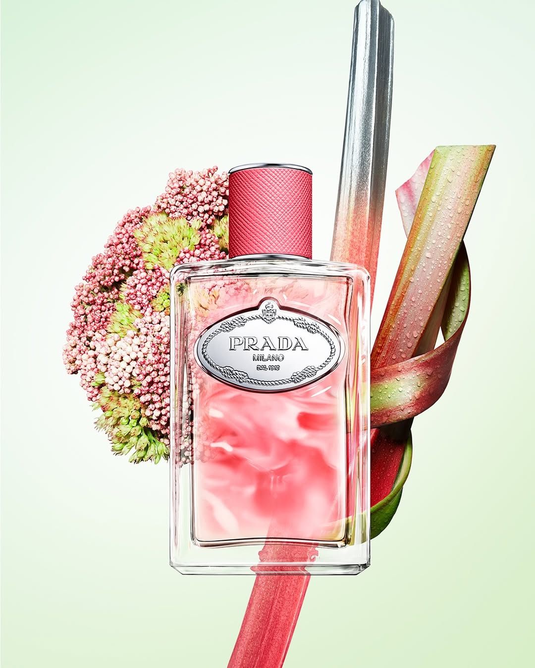 Snapins.ai 472433347 853877076745034 1686225570354448068 n 1080 Prada Beauty predstavlja parfemski novitet Infusion de Rhubarbe koji donosi eksploziju svežine
