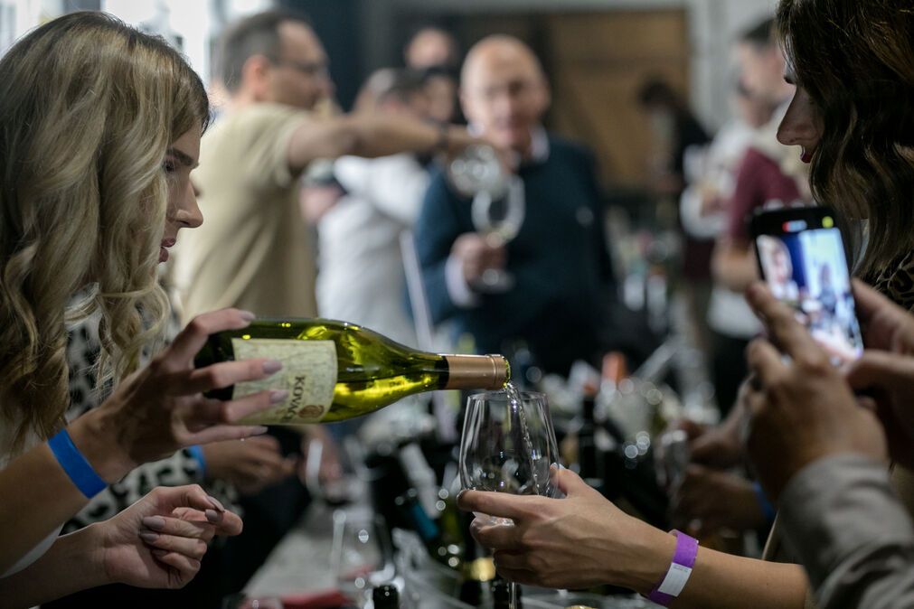 DD218493 optimized 200 WANNABE vodič kroz Beogradsku nedelju vina