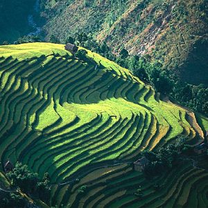 Produhovljeni krov sveta: Nepal