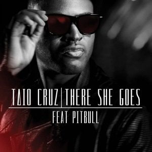 The Best of House: Taio Cruz “There She Goes”