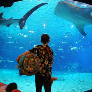 Top 10 najvećih akvarijuma na svetu