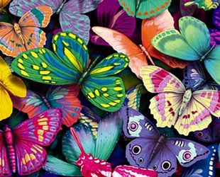 Tajna krilatih bića: Priča o leptiru