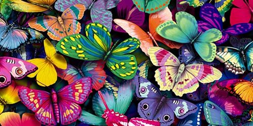 Tajna krilatih bića: Priča o leptiru