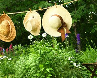 Zaštitnici od sunca: Kape i šeširi