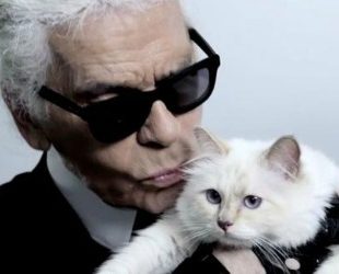Modni zalogaj: Karl Lagerfeld predstavio “Choupette“ kolekciju