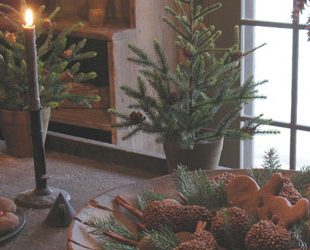 Šuma u vašem domu: Novogodišnja dekoracija
