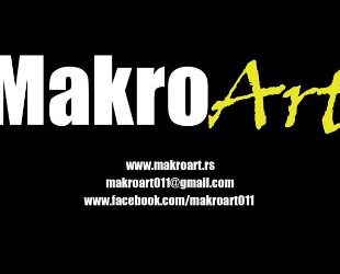 MakroArt – edukativna radionica za buduće studente i ljubitelje umetnosti
