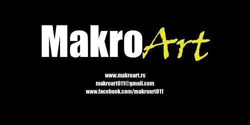 MakroArt – edukativna radionica za buduće studente i ljubitelje umetnosti
